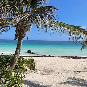https://phoenix.tulum-hotels.net
